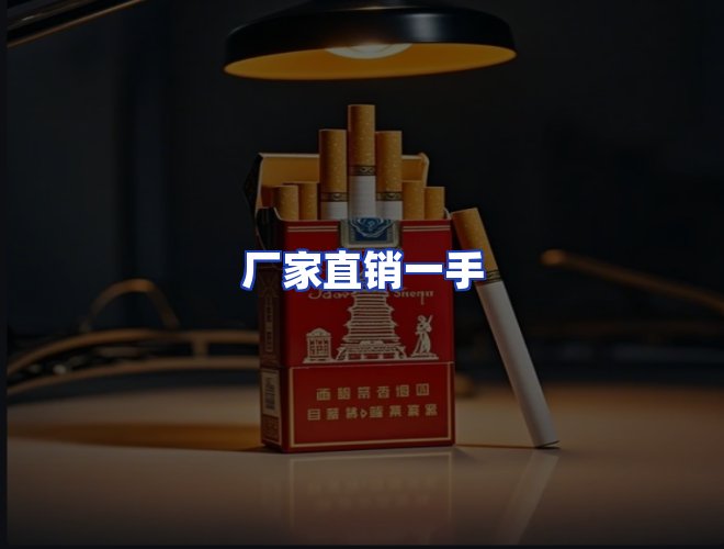 专业团队